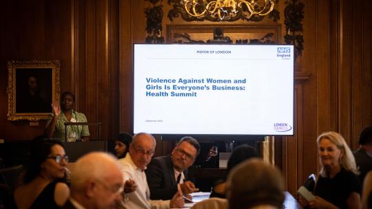 Attendees at the VAWG Health Summit