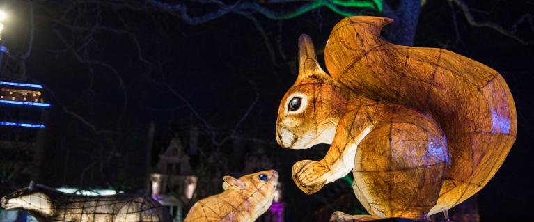 A large illuminated squirrel as part of Lumiere London in Leicester Square Gardens