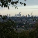 Skyline over London looking from a wooded parkland setting.